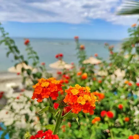 Kallmi View Eco