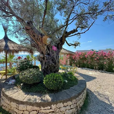 Kallmi View - Nature Retreat On The Albanian Adriatic Coast B&B