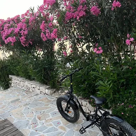 Bed & Breakfast Kallmi View Eco Durres