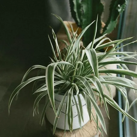 Kallmi View Eco Couette-café 4*