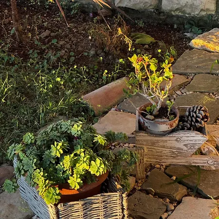 Kallmi View - Nature Retreat On The Albanian Adriatic Coast 3* Δυρράχιο