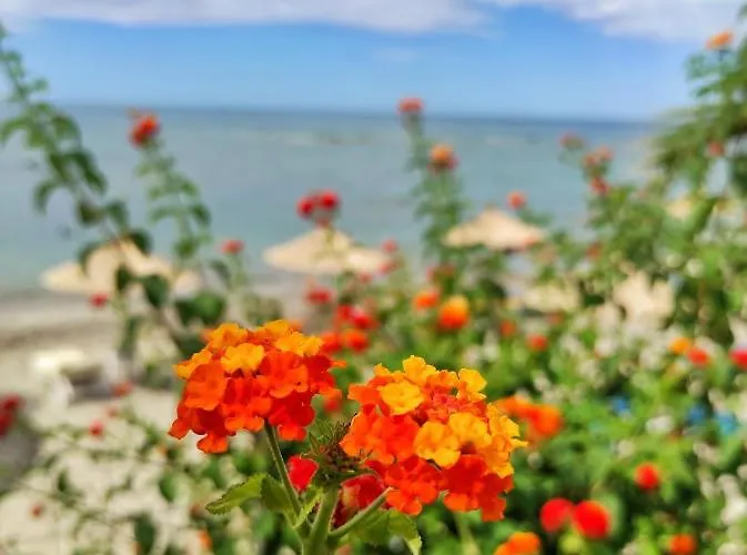 Kallmi View - Nature Retreat On The Albanian Adriatic Coast