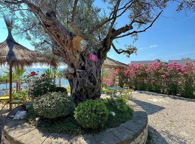 Kallmi View - Nature Retreat On The Albanian Adriatic Coast ベッド・アンド・ブレックファスト